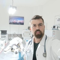 onur kemer