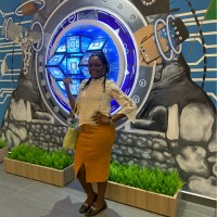 Tosin Olaitan, PSPO, MBA