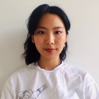 Yixin Qi