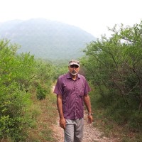 M Asif Nadeem