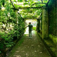 Máximo Ámez Muñiz