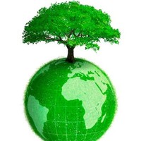 Green Tree