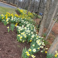 Maria Julia Soriano Hernandez