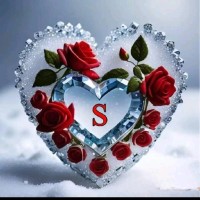 Shimaa Elshahawy