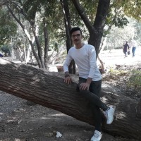 Mahdi M