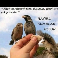 Necmettin Çandır
