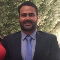 Leandro Martins Pereira