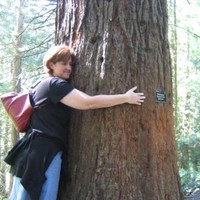 Sheila Guarnagia