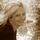 Deb Bennett