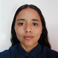 Flor Siboney Hernández Morales