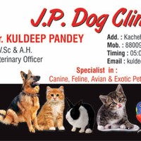 Dr.Kuldeep Pandey
