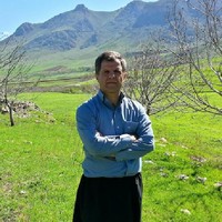 Amir Alimoradi