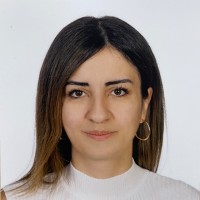 Didem İlke Şen