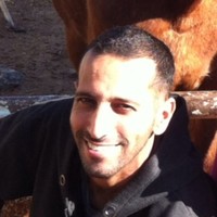 Elad Yichie