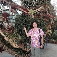 Phuangngoen K.
