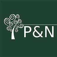 P&N Assessoria Empresarial