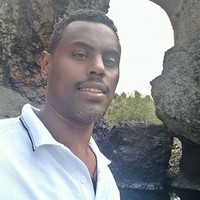 Dawit Mulugeta