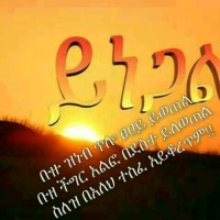 Kemal Ulgicho