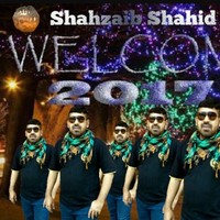 Shahzaib Shahid Arain