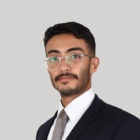 Hamza A. Alshamy