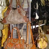 The Bag Lady