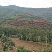 陈向辉