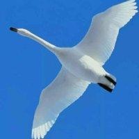 越来越