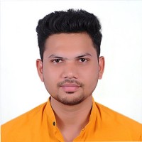 Parthasarathi S