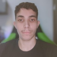 Vitor Luiz Queiroz Tomazeli