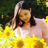 Vân Anh Chu