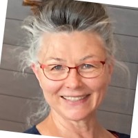 Lori Link, Cnm, Msn