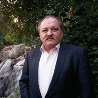amirali vafaei
