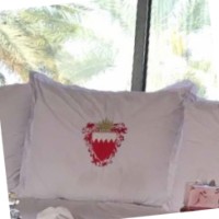 شيماء حبيب العلوي