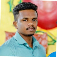 Prabhakaran Palmurugan