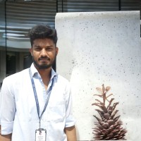 Deva Raja C