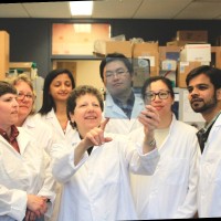 Barbara Kahn Lab