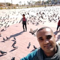 Hamada Morsy