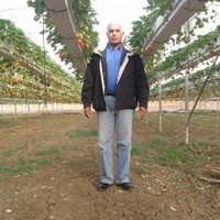 Masoud Keshta
