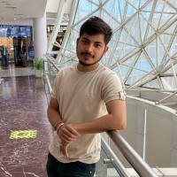 Lokesh Chauhan