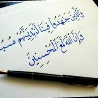 Shimaa Amr