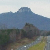 Julie Tucker