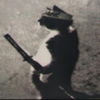 Michael AV