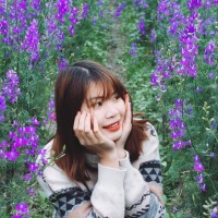 Van Anh Nguyen Thi