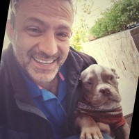 André Vitale