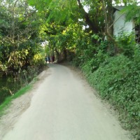 R HASAN