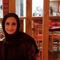 Hengameh Akbari