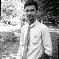 Aditya Palikundwar