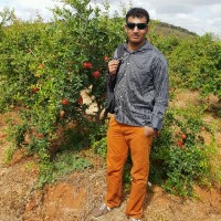 Aditya Acharya