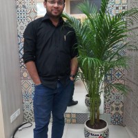Amit Teli