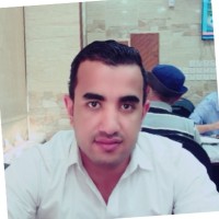 Salah A. Mohamed